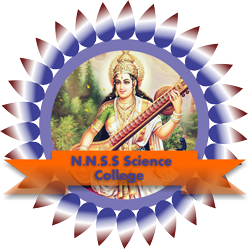 Nripati Narayan Singh Smarak Group Of College